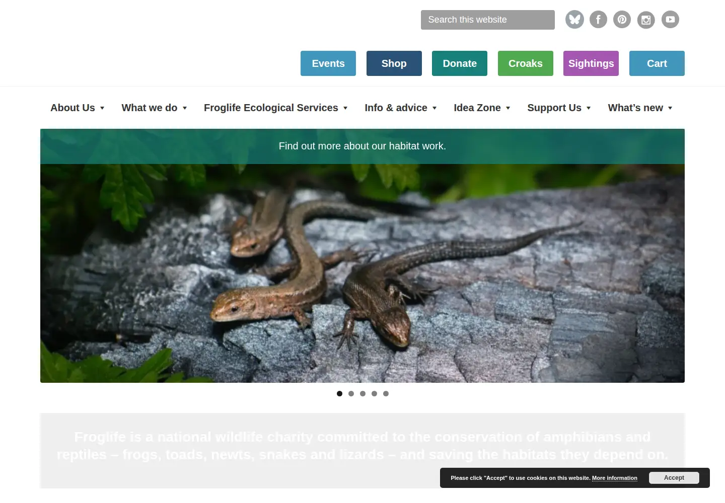 Screenshot of froglife.org