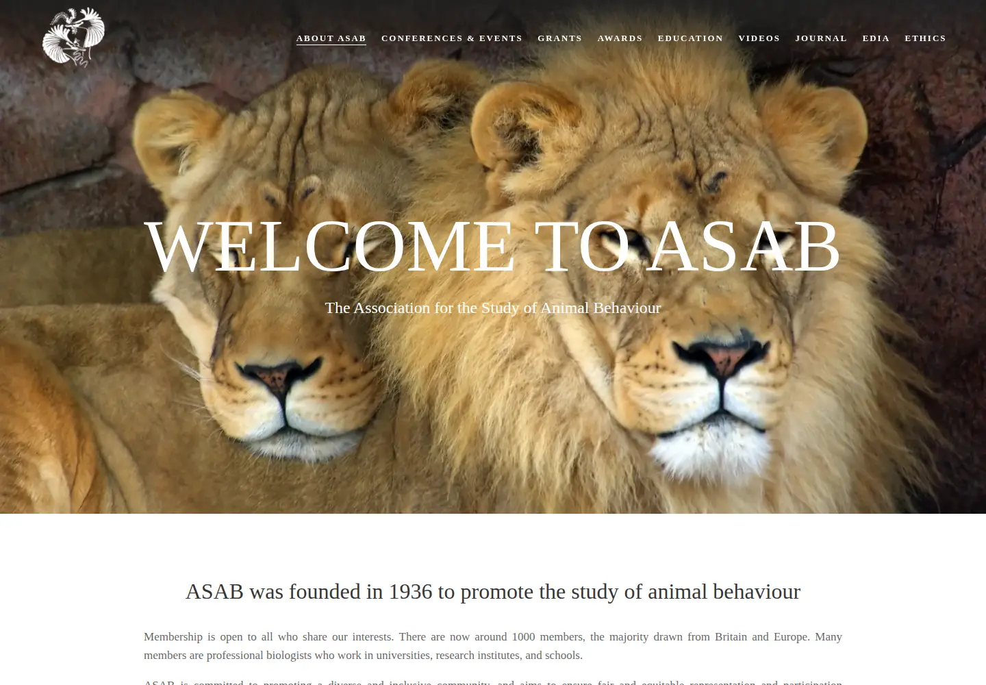 Screenshot of asab.org
