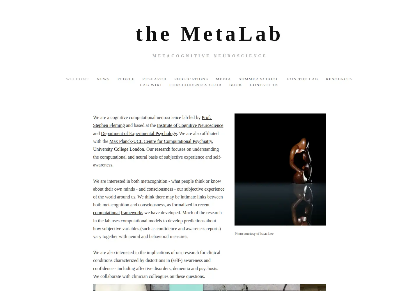 Screenshot of metacoglab.org