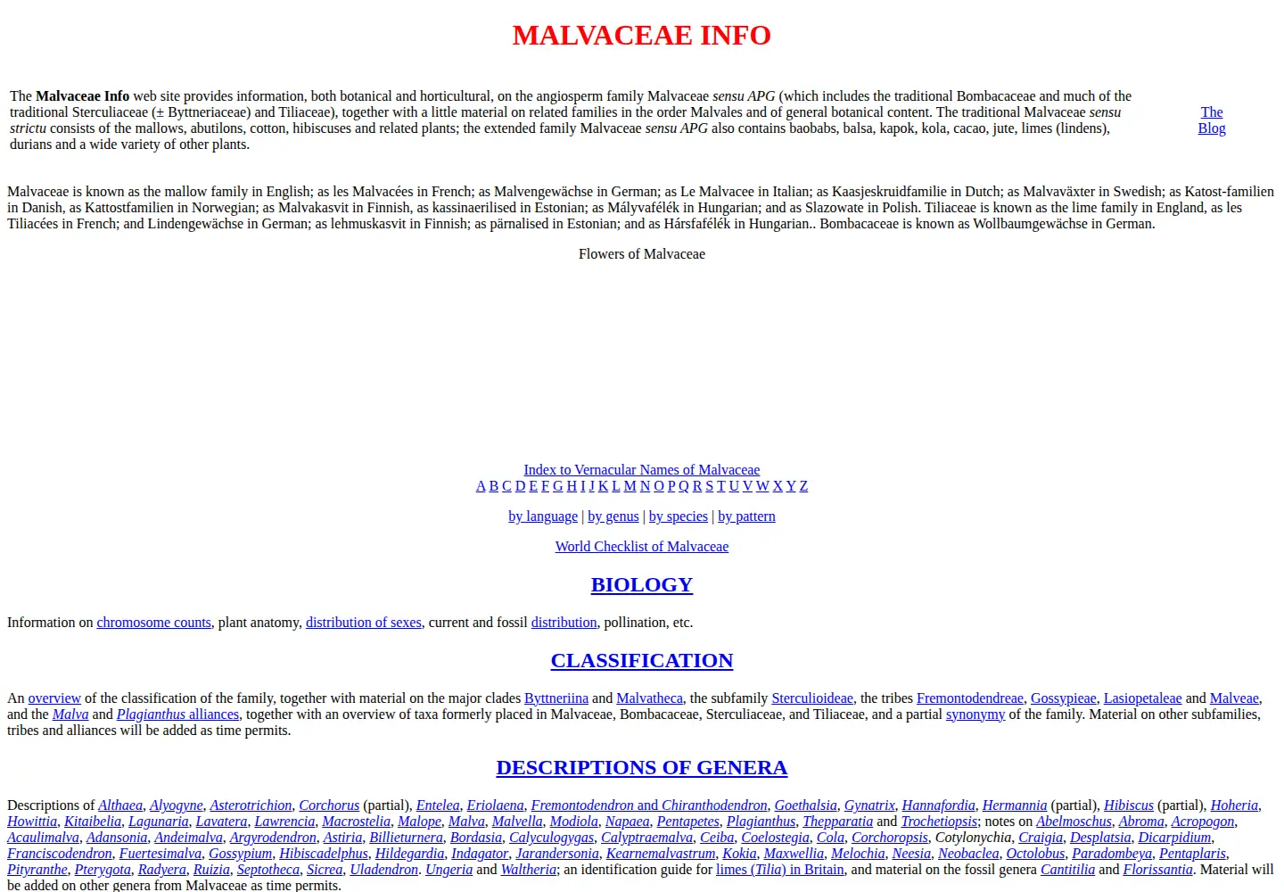 Screenshot of malvaceae.info