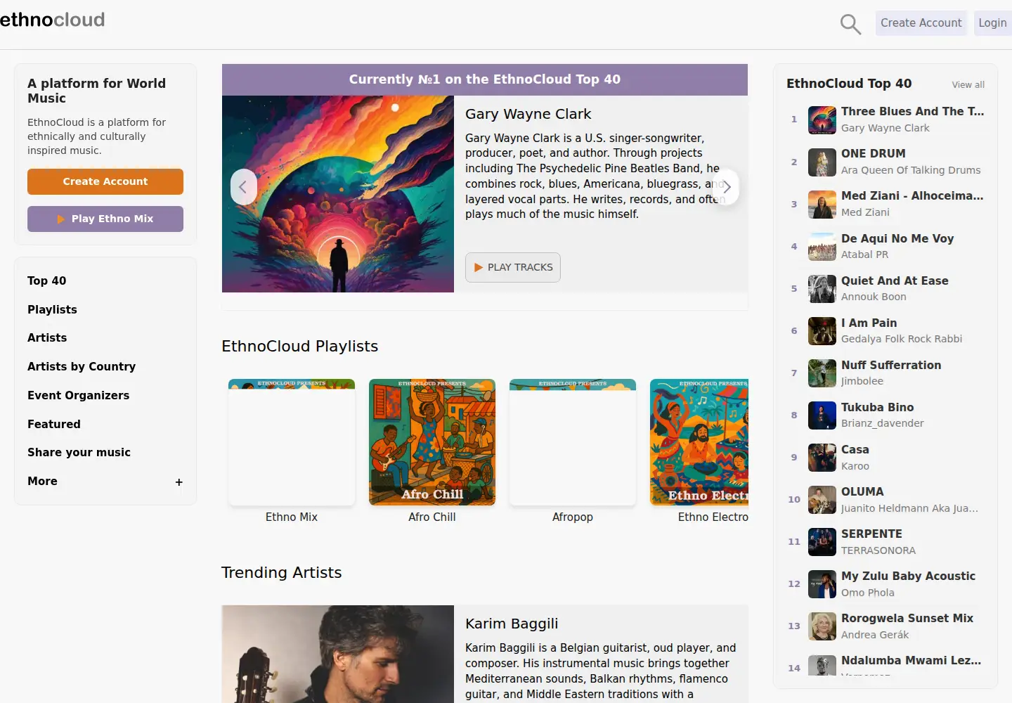 Screenshot of ethnocloud.com