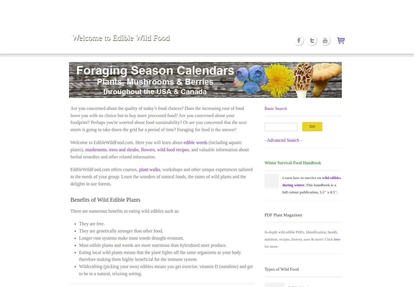 Screenshot of ediblewildfood.com