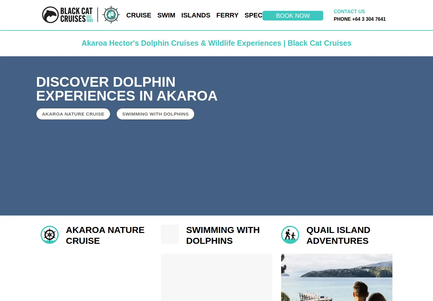 Screenshot of blackcat.co.nz