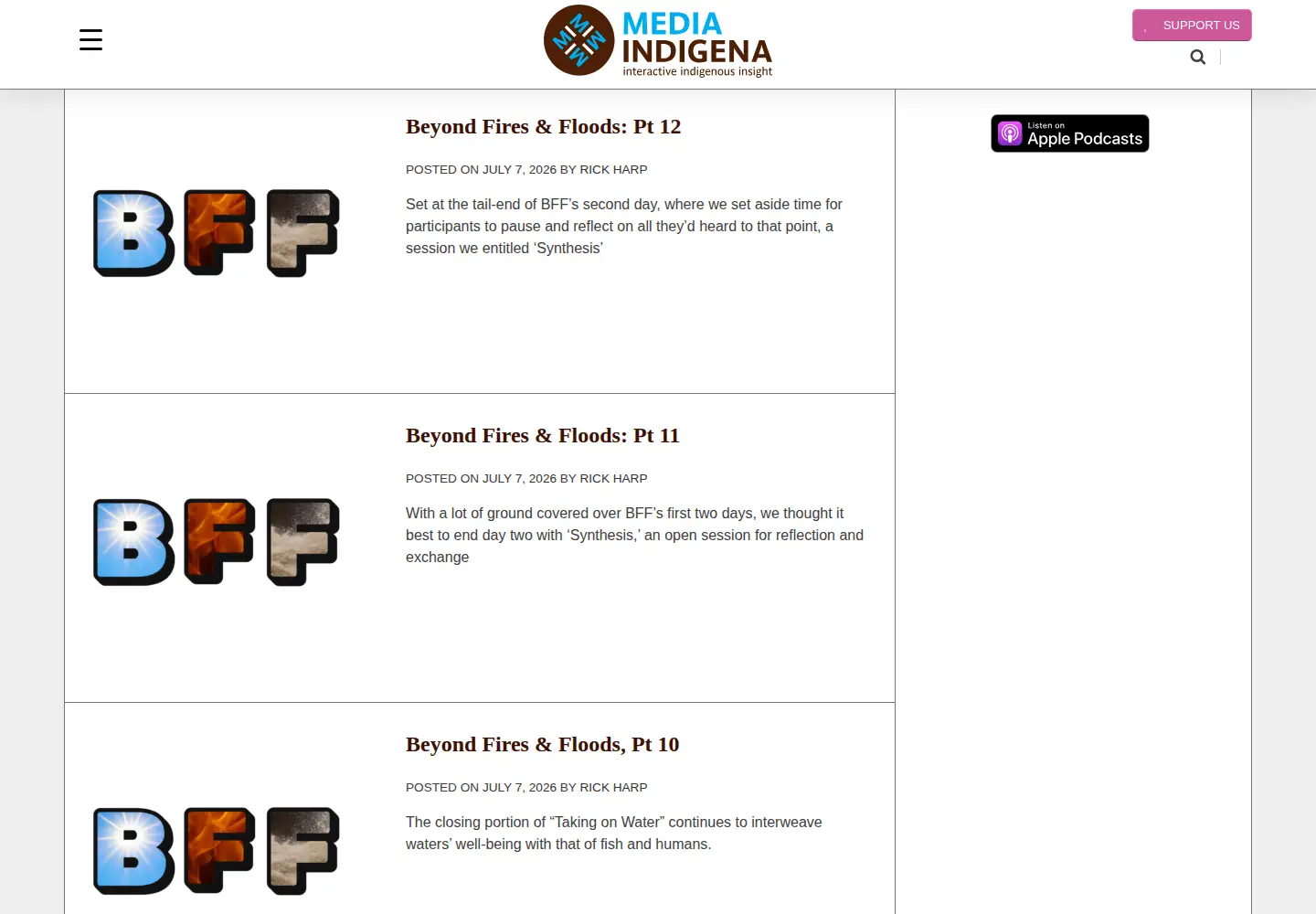 Screenshot of mediaindigena.com