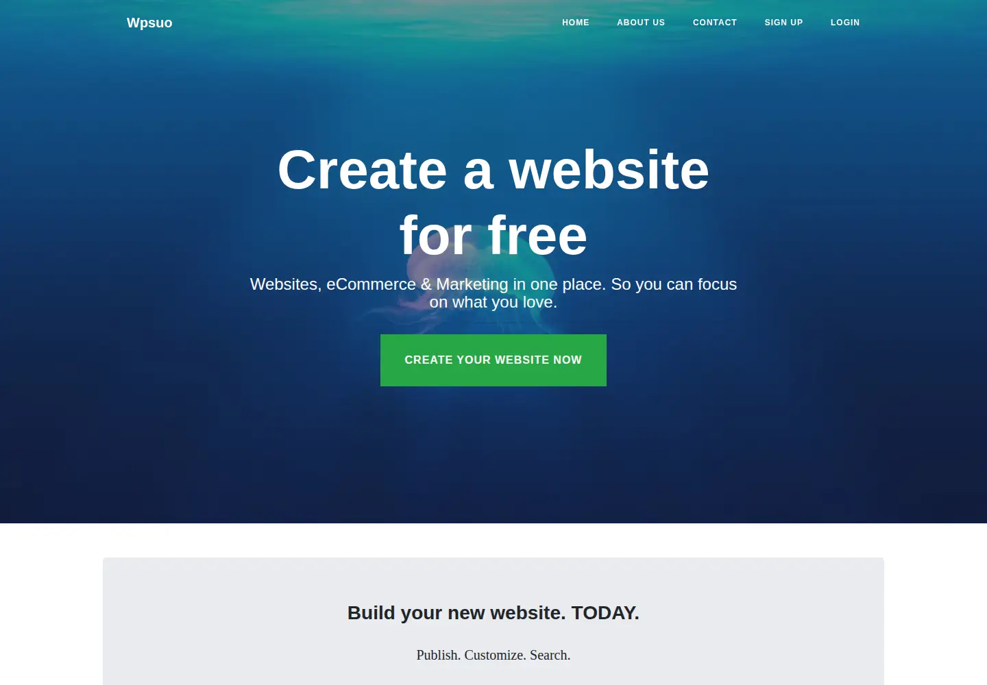 Screenshot of wpsuo.com