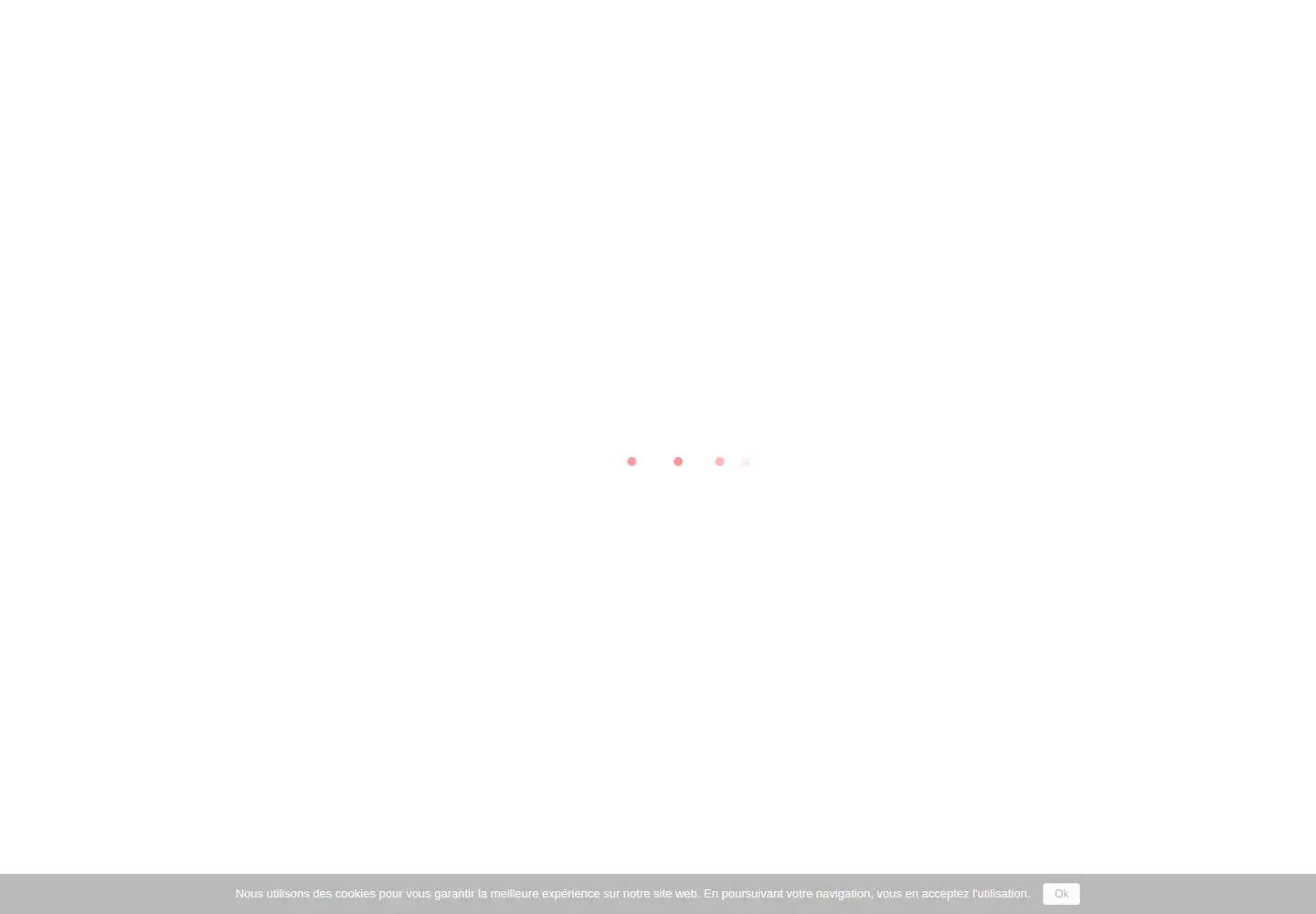 Captured homepage of fidmarques.com in the current scan