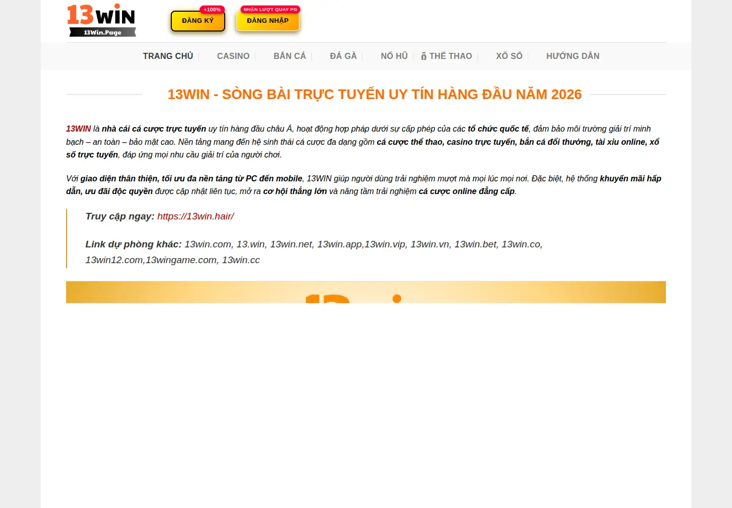 Screenshot of 13wingroup.com