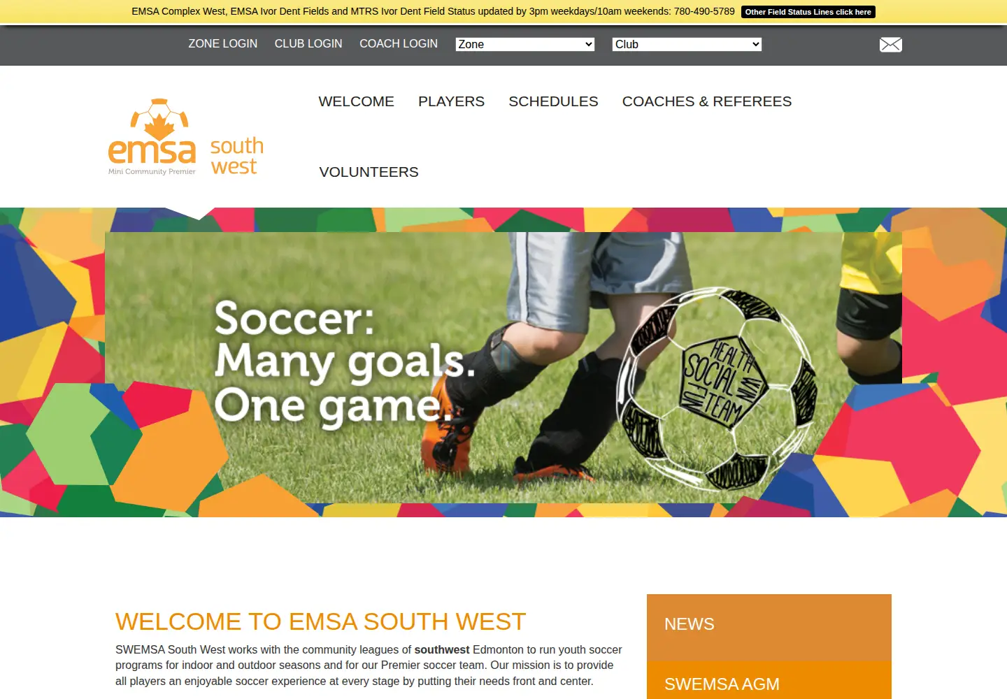 Captured homepage of emsasouthwest.com in the current scan