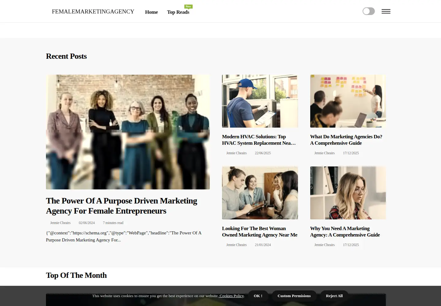 Captured homepage of femalemarketingagency.com in the current scan