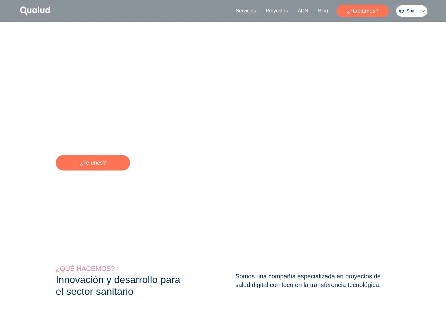 Screenshot of qualud.com