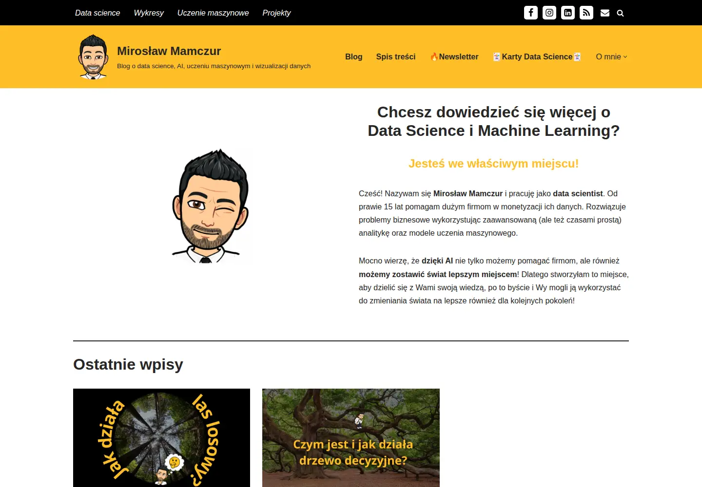 Screenshot of miroslawmamczur.pl