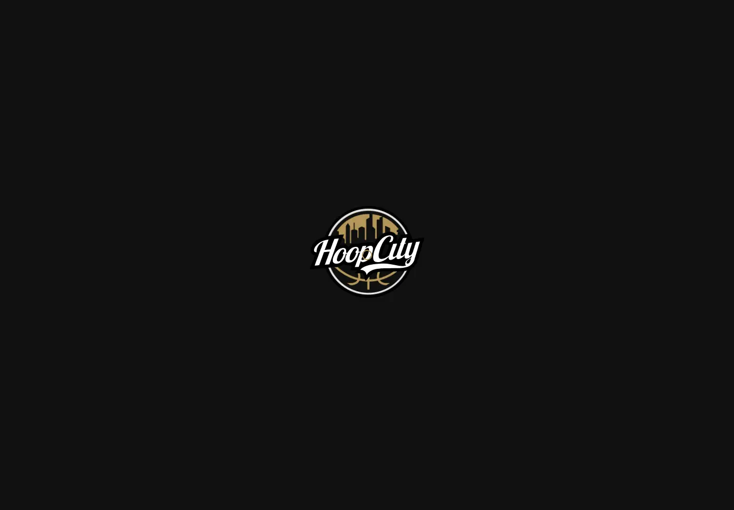 Captured homepage of hoopcity.com.au in the current scan