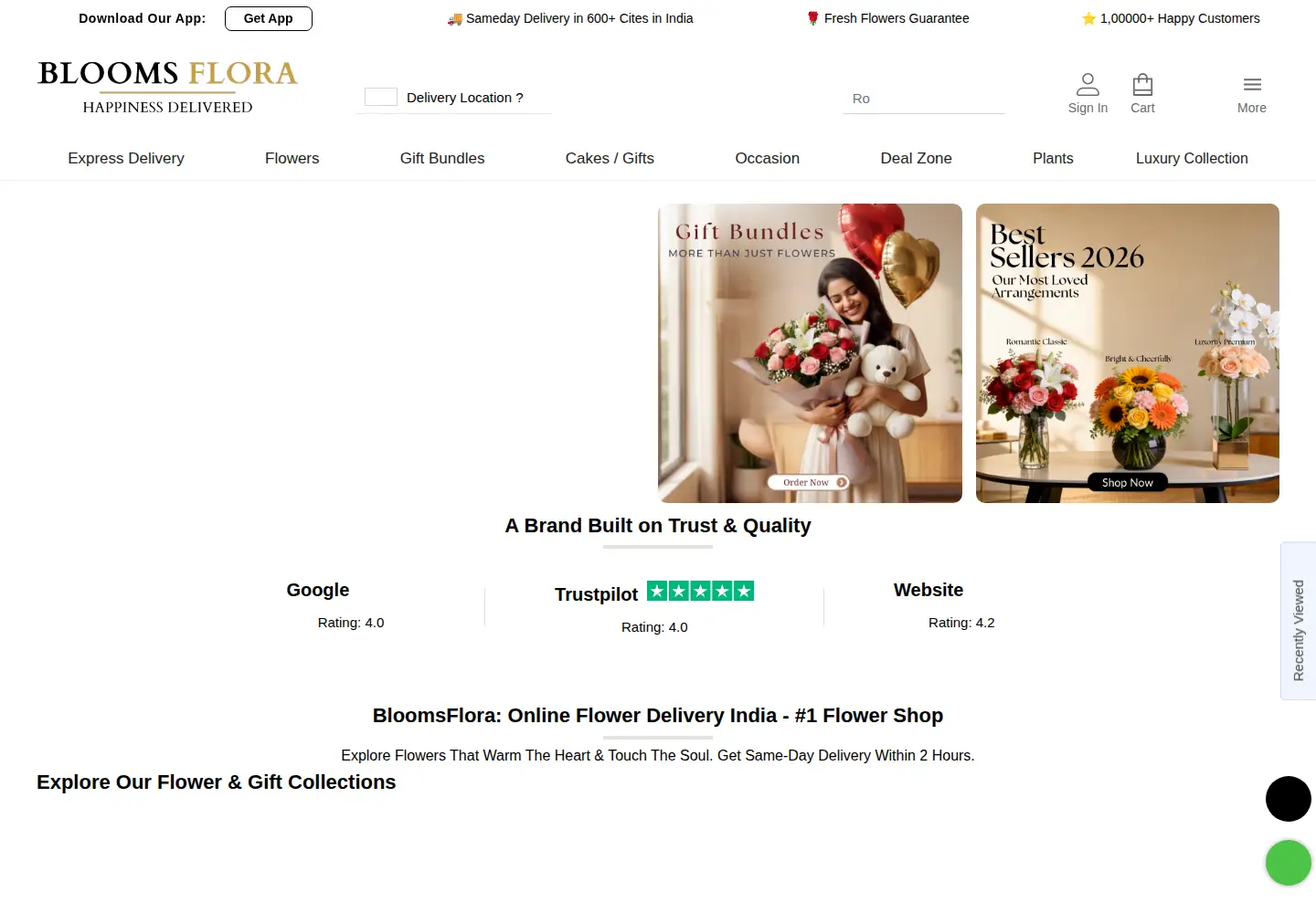Screenshot of bloomsflora.com