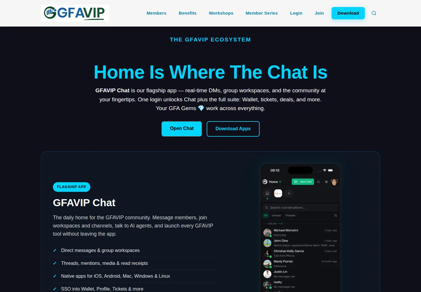 Screenshot of gfavip.com