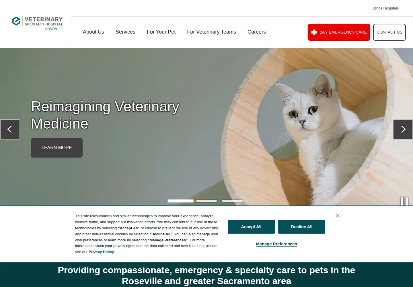 Screenshot of vshroseville.com
