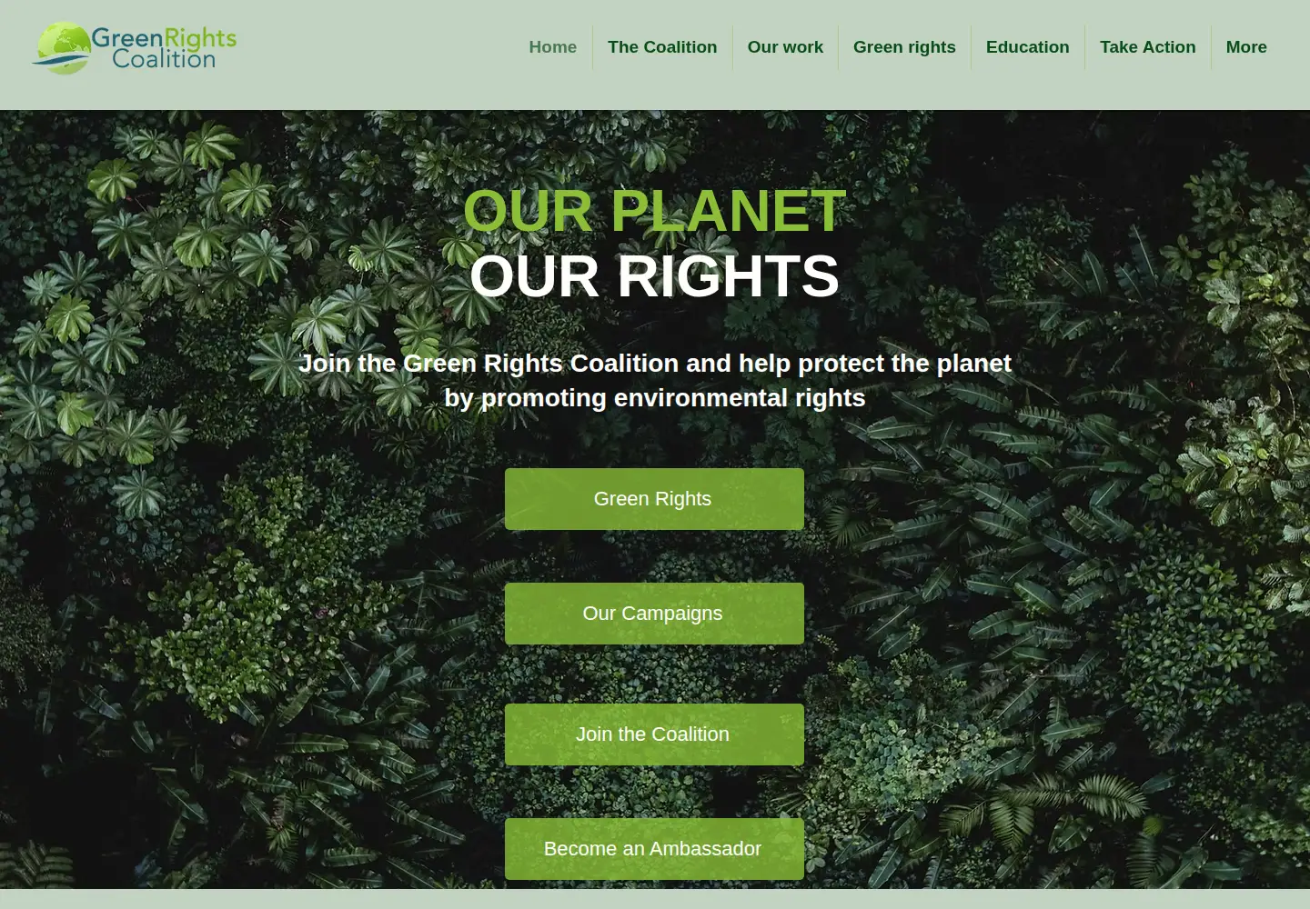 Screenshot of greenrightscoalition.org