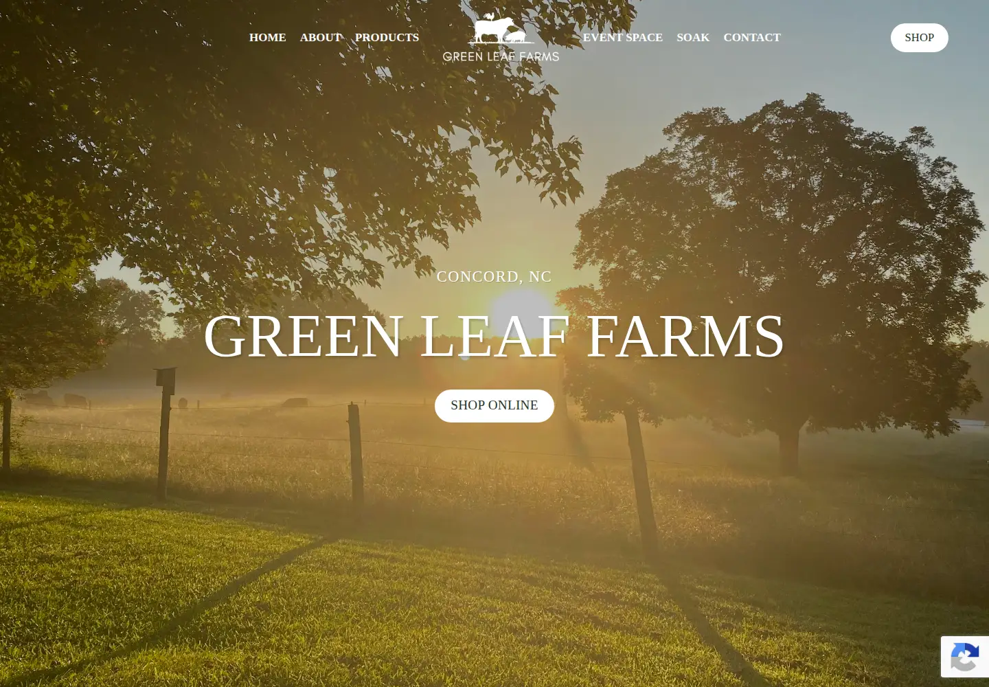 Captured homepage of greenleaffarmsnc.com in the current scan