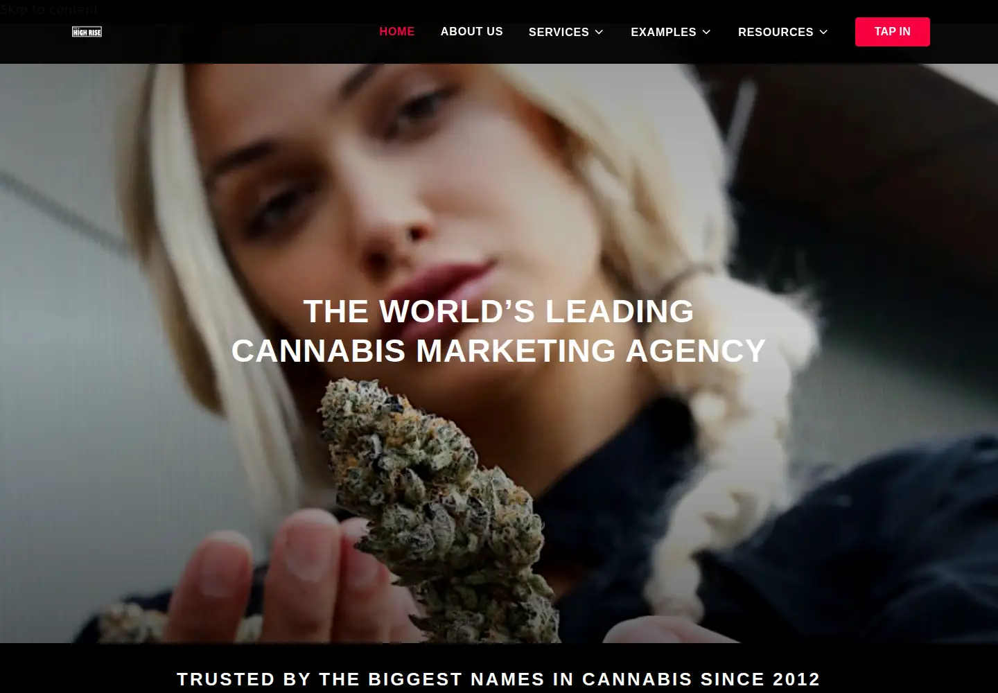 Screenshot of highrise-agency.com
