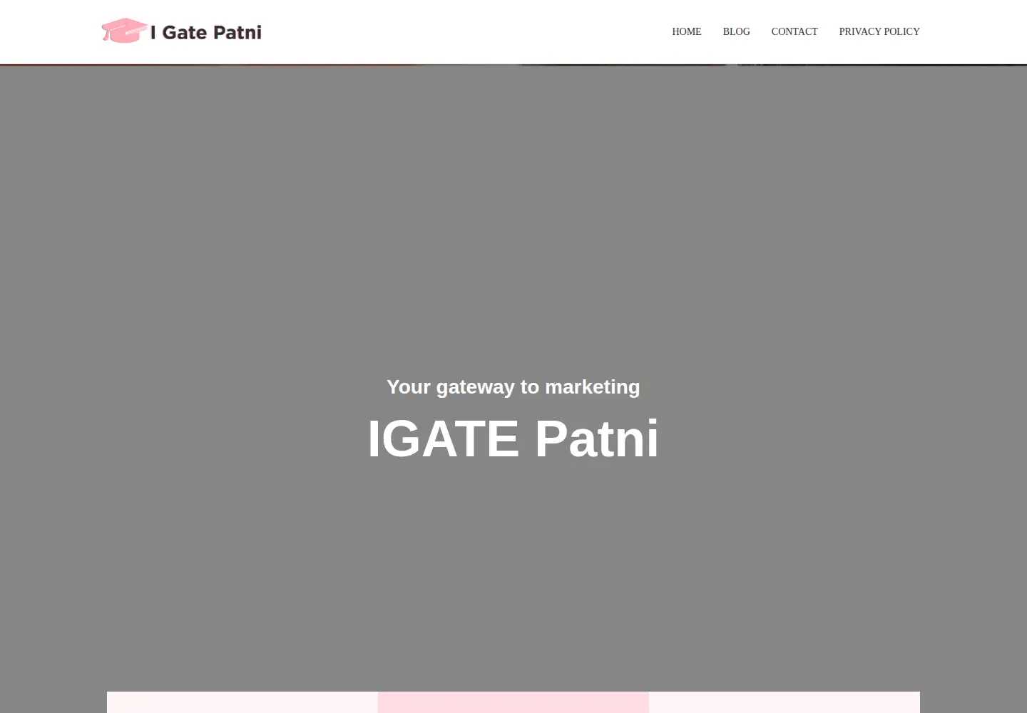 Captured homepage of igatepatni.com in the current scan