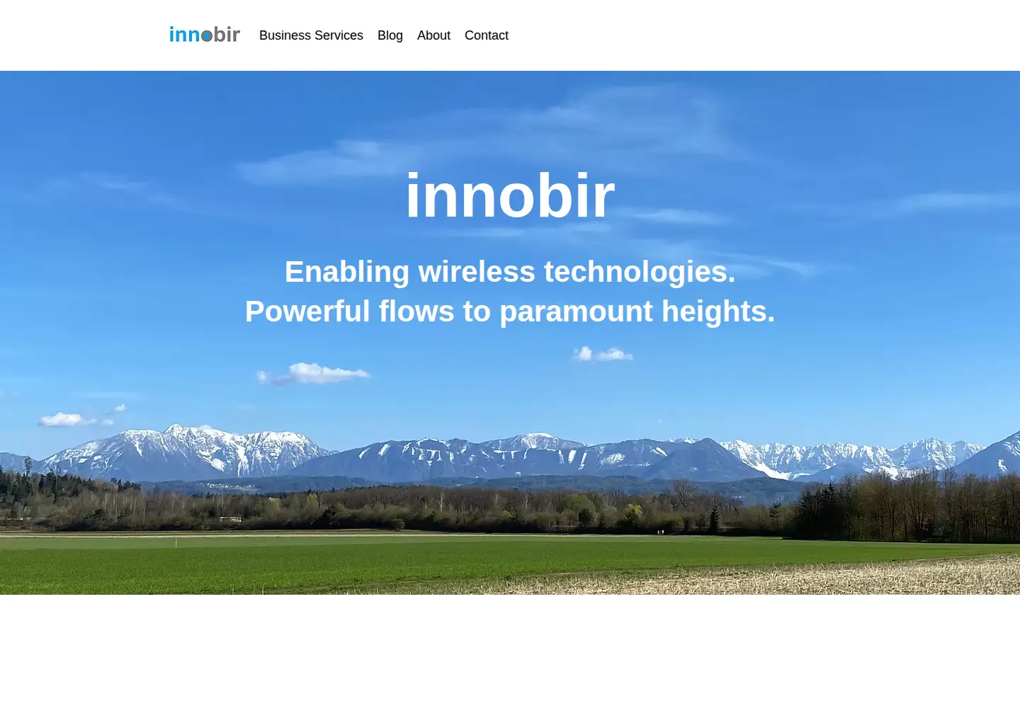 Captured homepage of innobir.com in the current scan