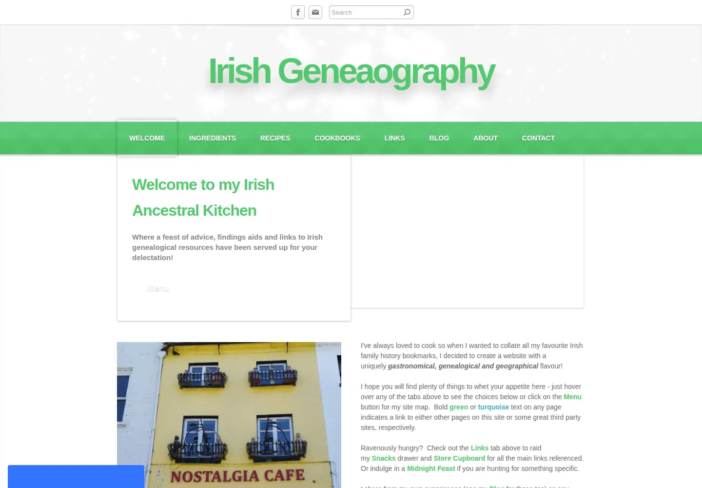 Screenshot of irish-geneaography.com