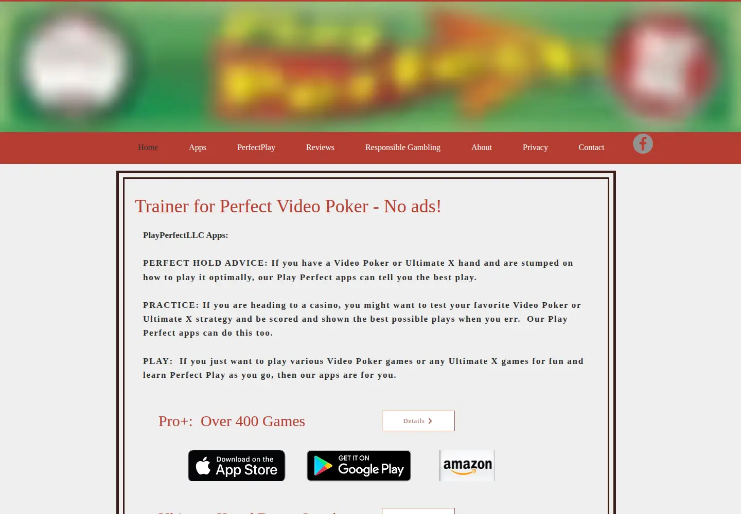 Captured homepage of playperfectllc.com in the current scan
