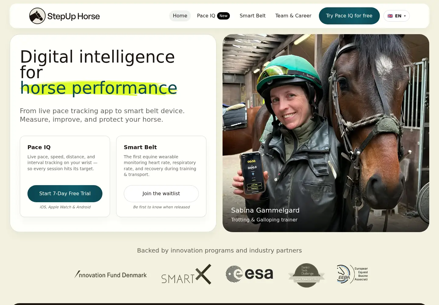 Screenshot of stepuphorse.com