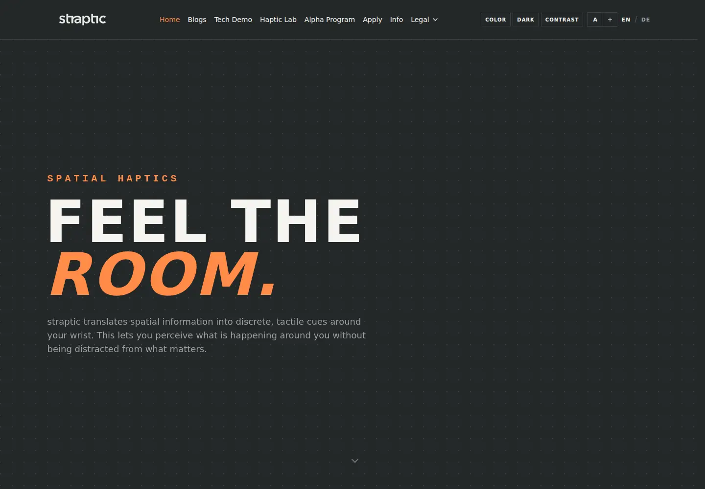 Captured homepage of straptic.com in the current scan