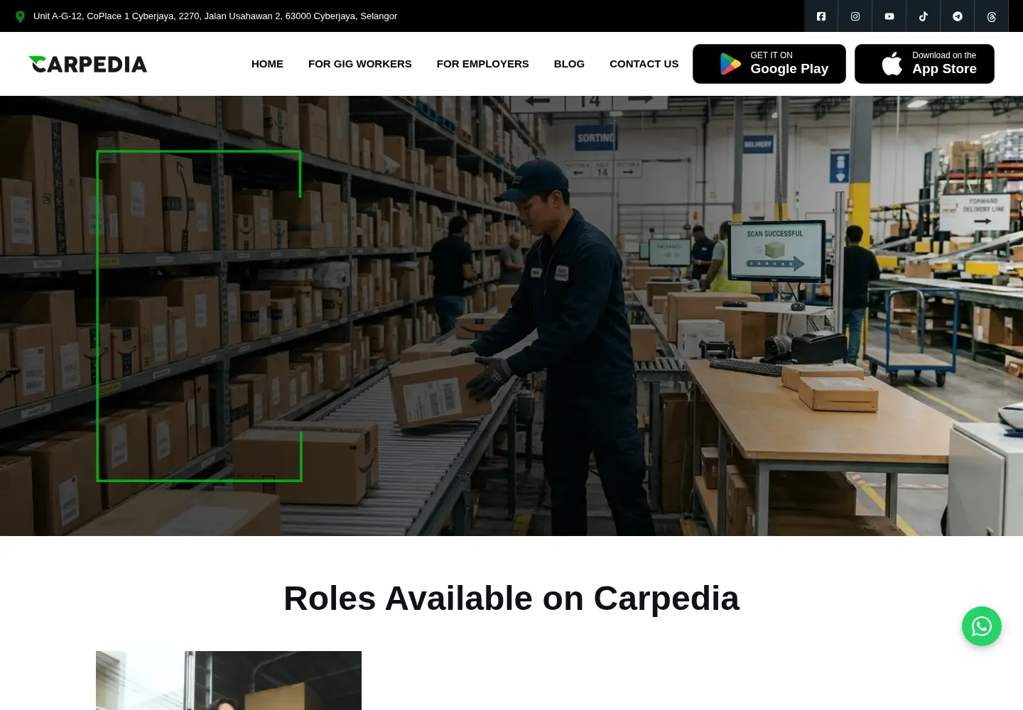 Screenshot of thecarpedia.com