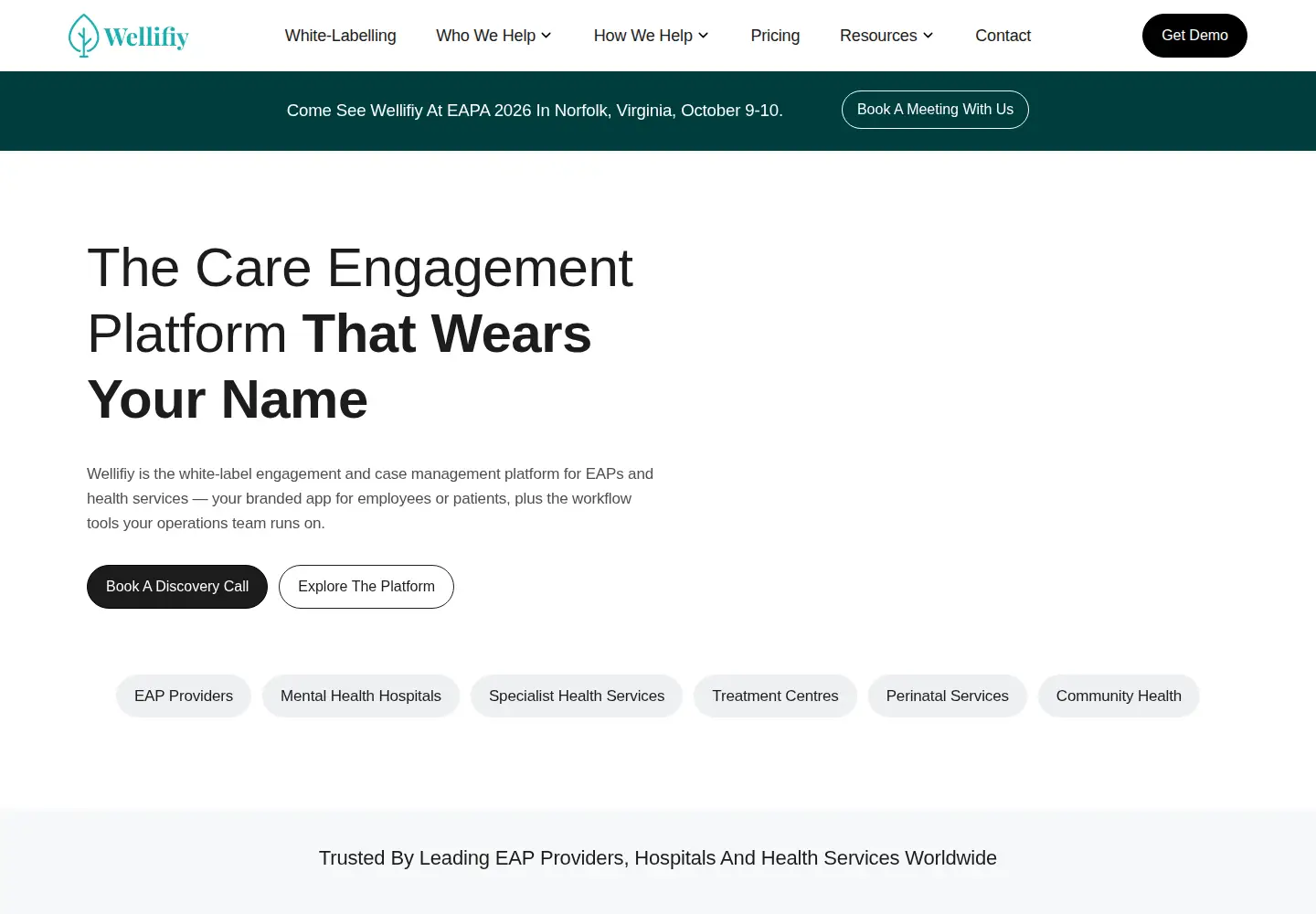 Screenshot of wellifiy.com