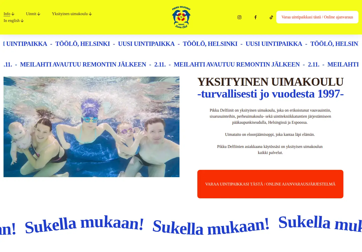 Captured homepage of pikkudelfiinit.fi in the current scan