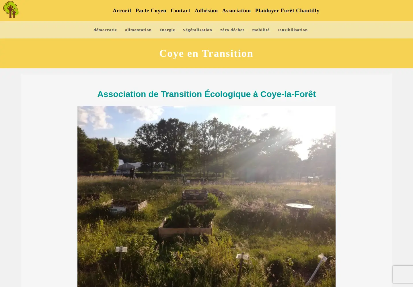 Screenshot of coye-en-transition.fr