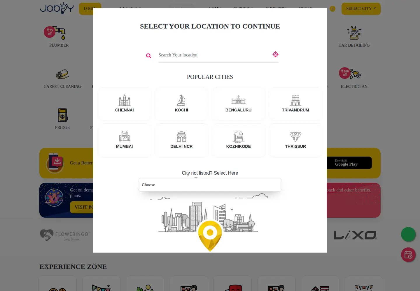 Captured homepage of joboy.in in the current scan