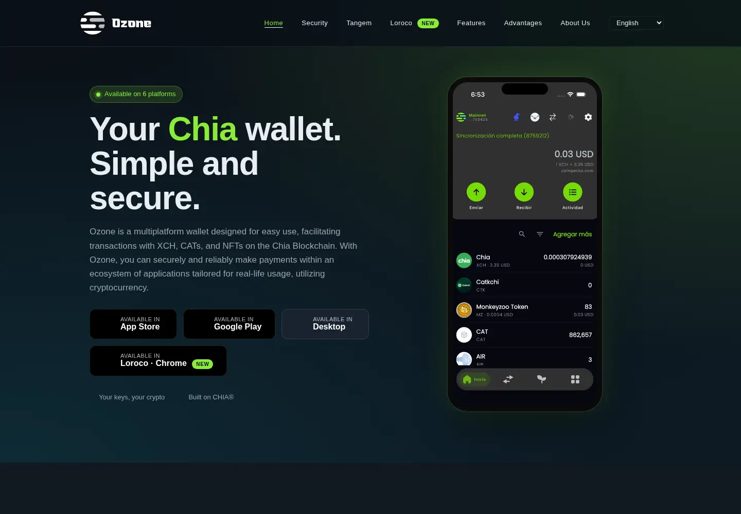 Screenshot of ozonewallet.io
