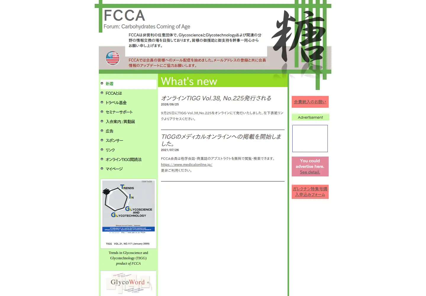 Screenshot of fcca.gr.jp