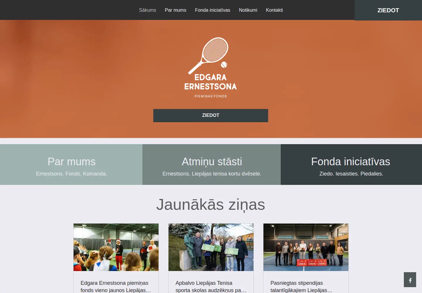 Screenshot of ernestsonafonds.lv