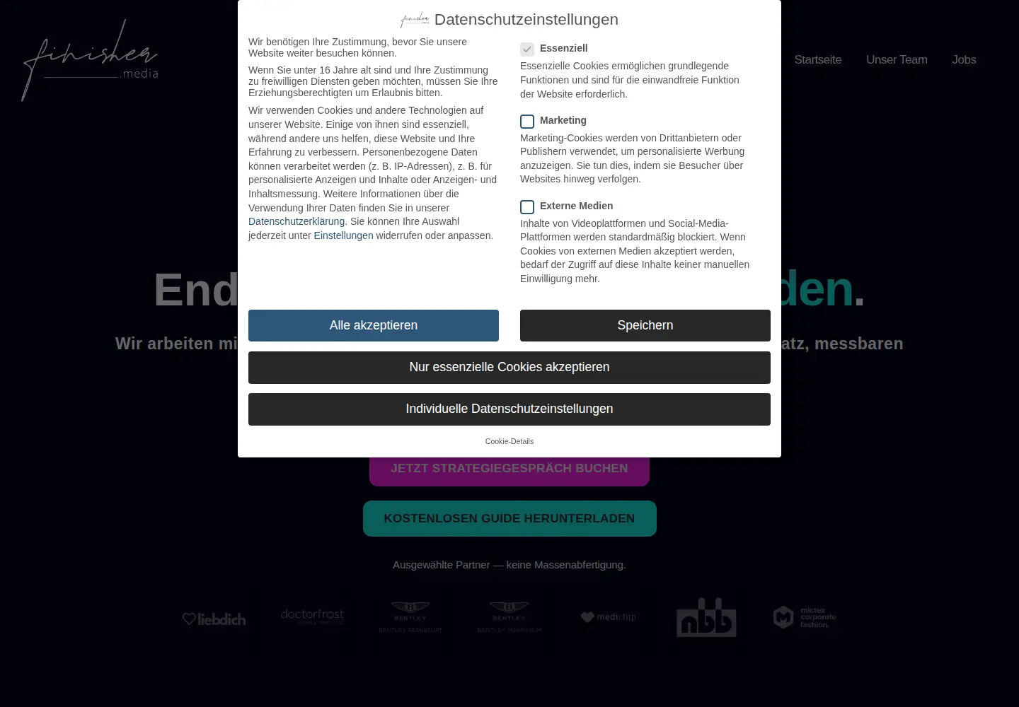 Captured homepage of finisher.media in the current scan