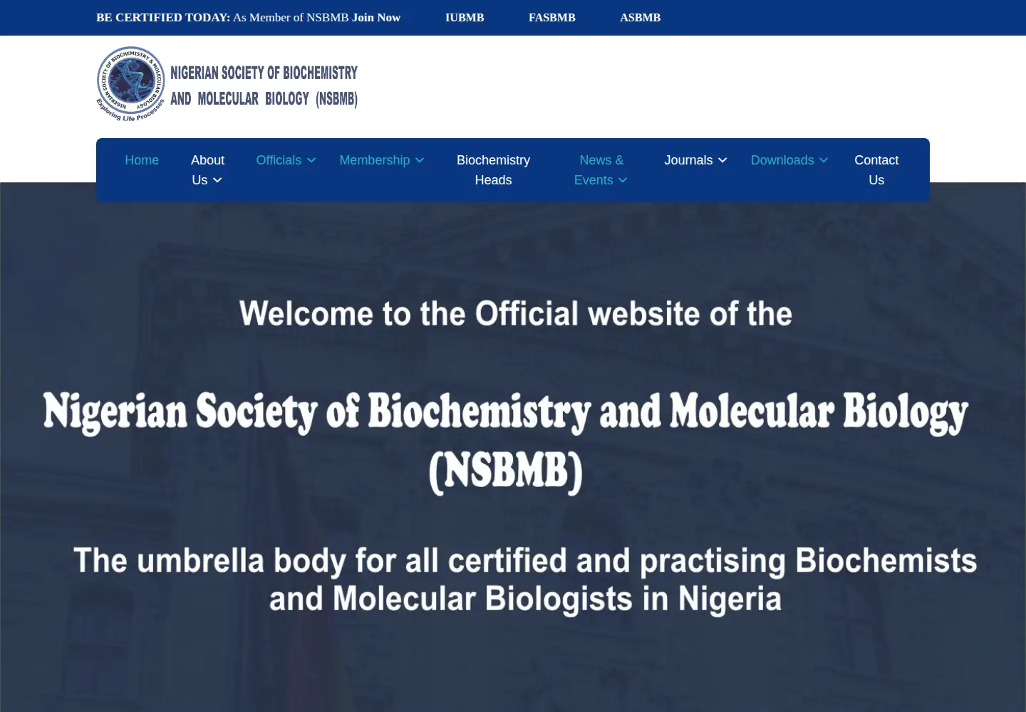 Screenshot of nsbmb.org.ng