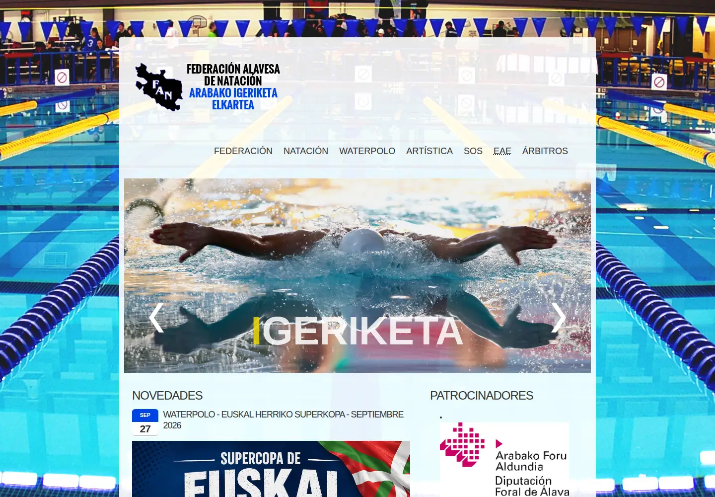 Screenshot of alavesanatacion.org