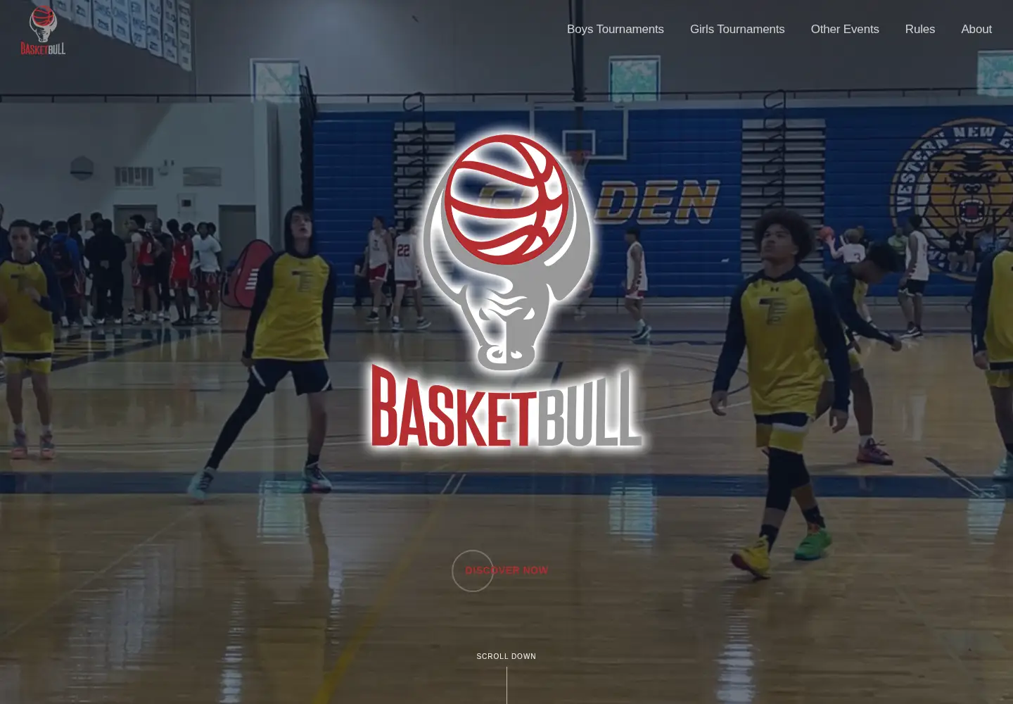 Captured homepage of basketbull.org in the current scan
