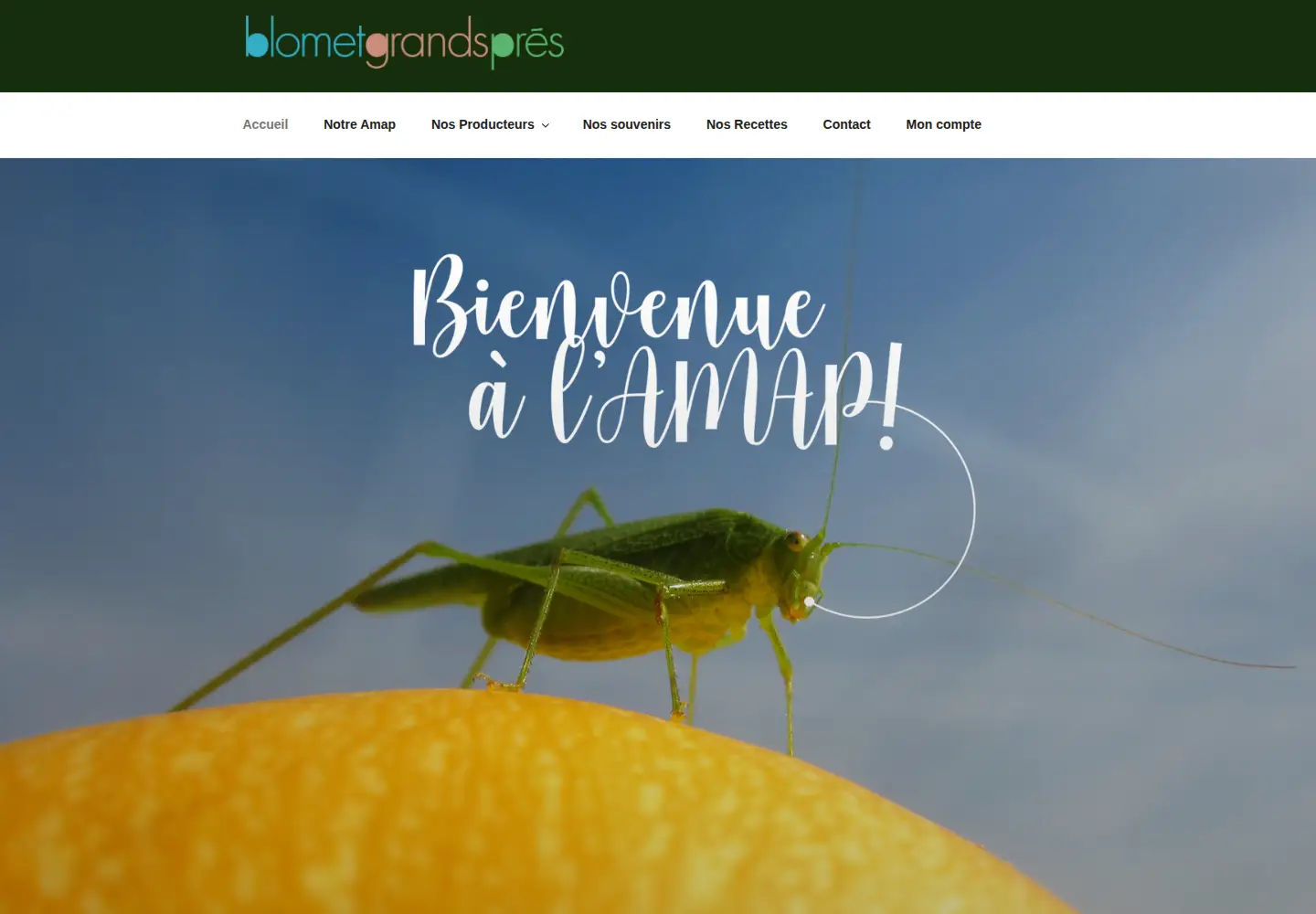 Captured homepage of blometgrandspres.org in the current scan