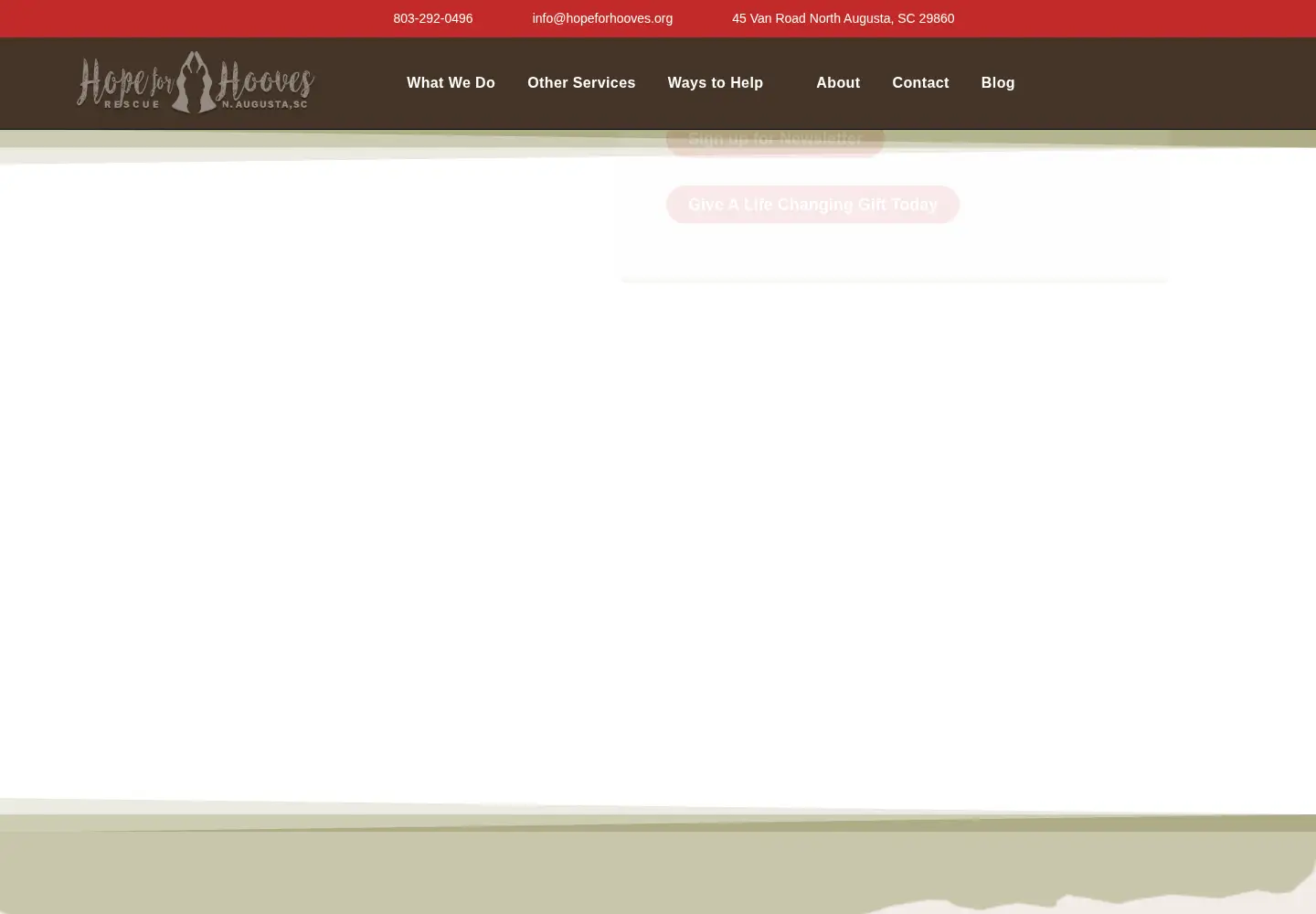 Screenshot of hopeforhooves.org