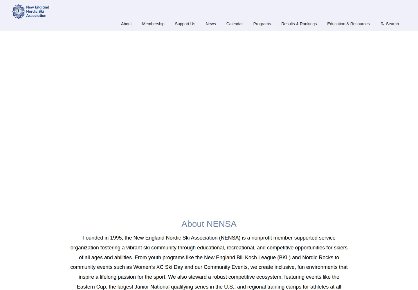 Screenshot of nensa.net
