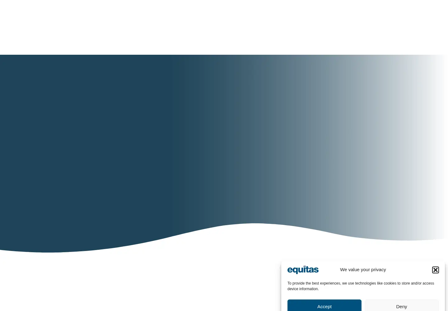 Screenshot of equitas.org
