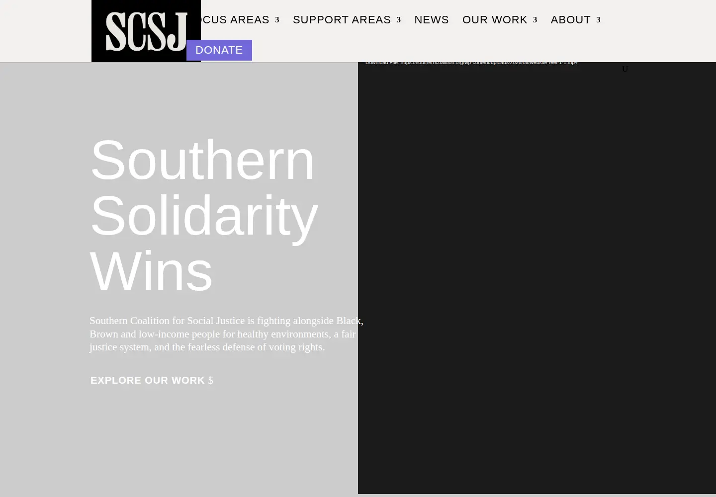 Screenshot of southerncoalition.org