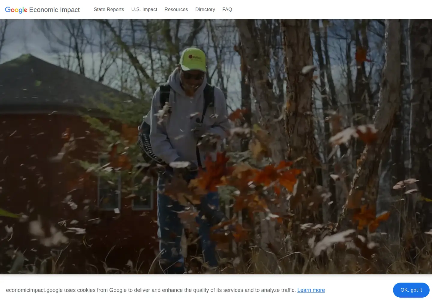 Screenshot of economicimpact.google
