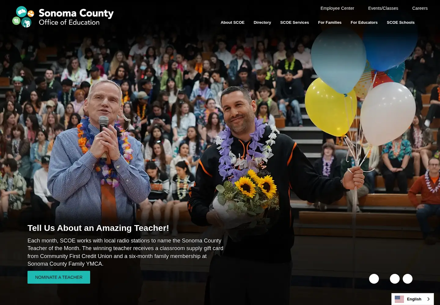 Screenshot of scoe.org