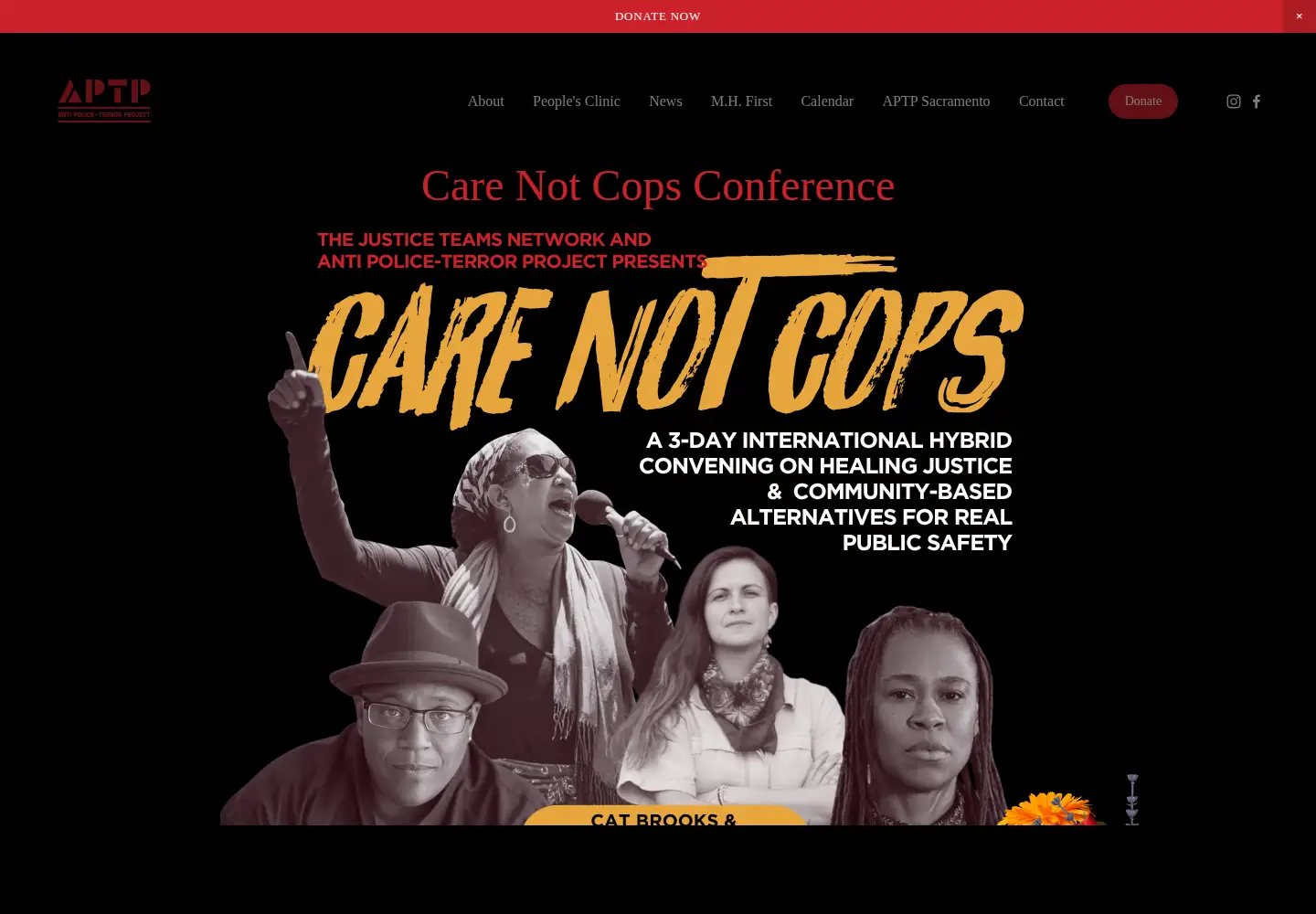 Screenshot of antipoliceterrorproject.org