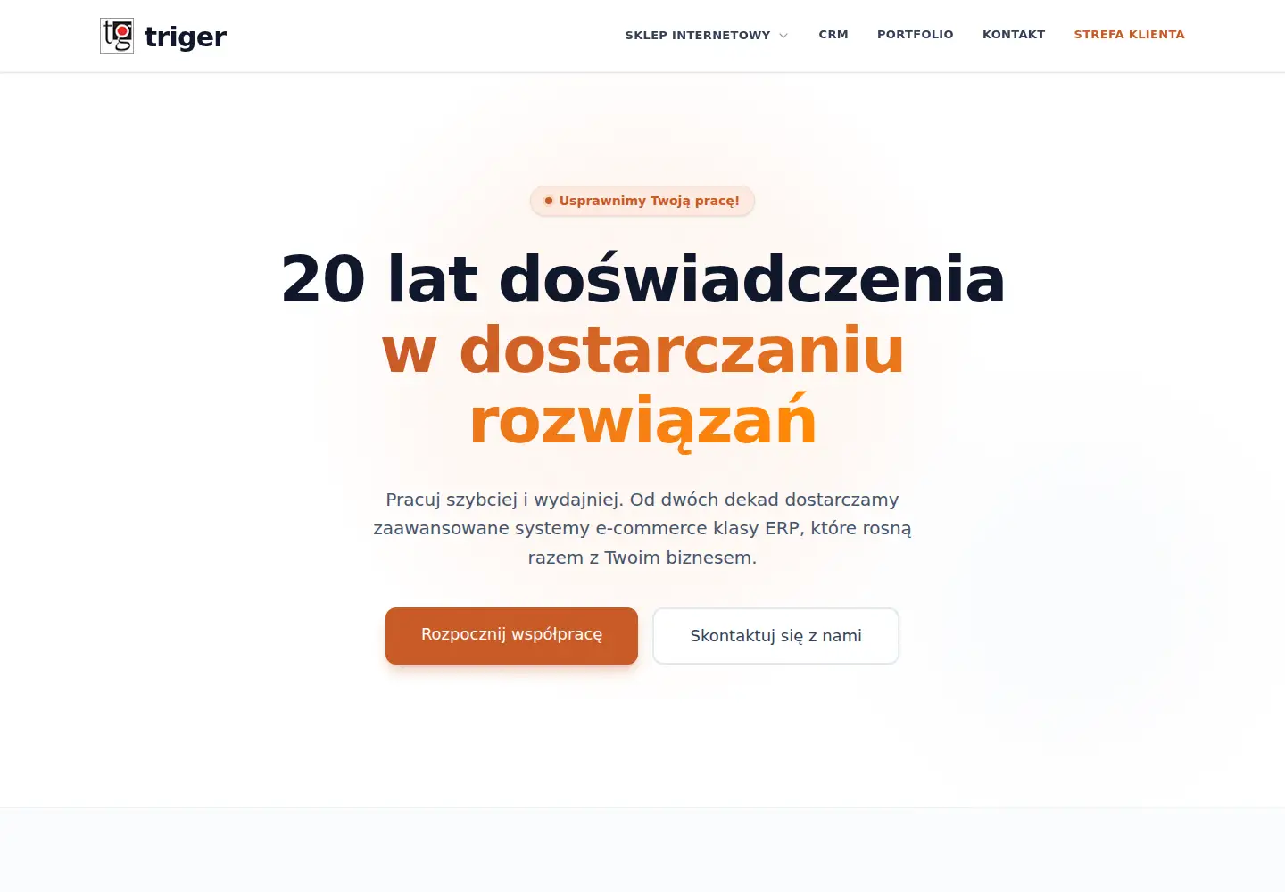 Screenshot of triger.com.pl