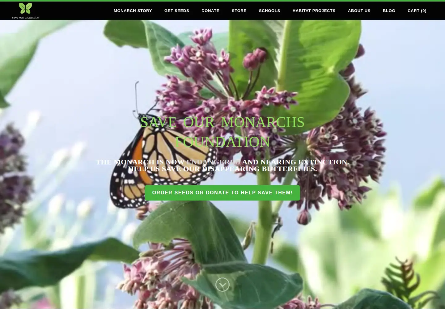 Captured homepage of saveourmonarchs.org in the current scan